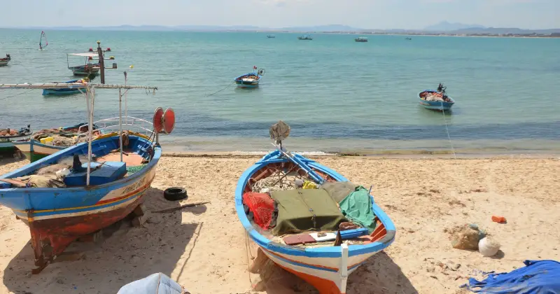 Restpladser Tunesien. Rejs på billige charterrejser til Tunesien