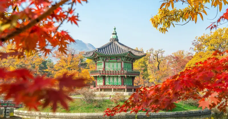 Last Minute Vakanties Zuid-Korea. Reis op goedkoop vakantie naar Zuid-Korea