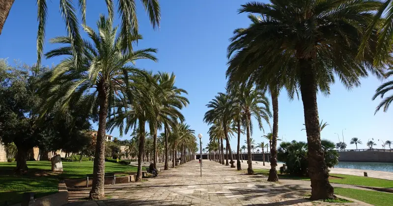 Last Minute Vakanties Palma de Mallorca. Reis op goedkoop vakantie naar Palma de Mallorca