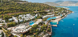 Blue Dreams Resort 11145728787