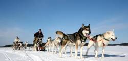 8 daagse excursiereis Ontdek Arctic Lakeland 3911831736