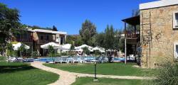 Aktur Cove 12564437106