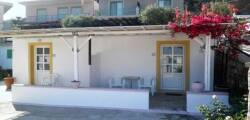 Aroma Stegna 11773229492