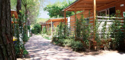 Italy Camping Village 11236204364