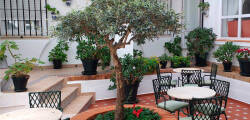 Los Olivos 12491373598