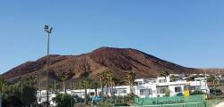 Palmeras Garden 11343636310