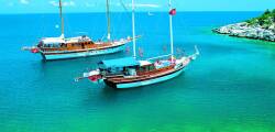 Blue Cruise & Grand Cettia 2226355053