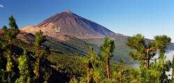 Fly drive Tenerife 7974178204