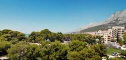 Villa Mirakul 11951185243