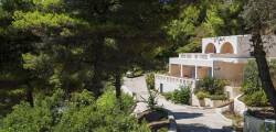 Alonissos Beach Bungalows & Suites Hotel 11443236465