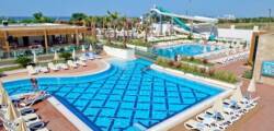 Trendy Verbena Beach 11951582955