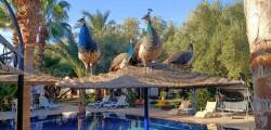 Le Relais De Marrakech 12563819927