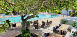 Casas Heddy 12566624581