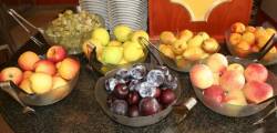 Hotel Elpiro 11862294434