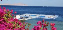 Domina Coral Bay Oasis 11862288499