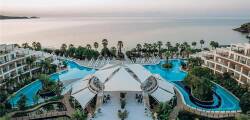 Paloma Pasha 11703108973