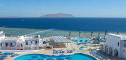 Albatros Palace Resort (ex Cyrene Grand Sharm) 2072624088