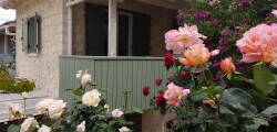 Apartments Wild Sea 11395973231