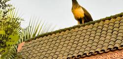 Guest House Qodwa 11942590620