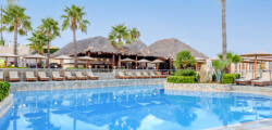 Theo Hotel 12565230990