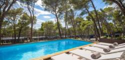 Pinadria Adriatic Coast 11951155604
