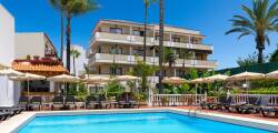 Hotel Don Manolito 12598587512