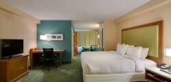 SpringHill Suites Orlando Lake Buena Vista South 10182734955