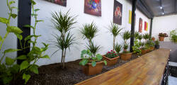 Almina inn Hotel 11431738308