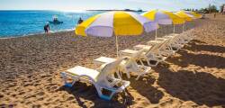 Gardenia Beach 11652818583