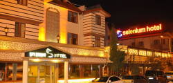 Selenium Hotel 10728612704