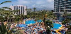 Hotel Flamingo Oasis 4367339155