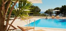 Maestral Adults Exclusive 11951573879