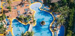 Flamingo Oasis 9957149620
