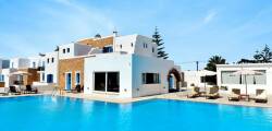 Naxos Holidays 5983535796