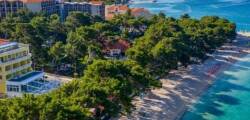 Villa Bacchus (Baska Voda) 12587479575