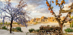 Rondreis Cappadocië & Side Star Park 2624957687