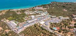 Caretta Paradise 12677950738