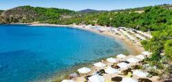 Royal Paradise Beach Resort 7342046632
