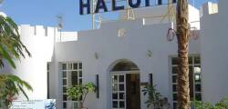 Halomy
