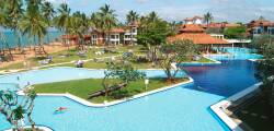 Club Dolphin 7715995660