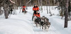 4 dg excursiereis Shortbreak Lapland Sirkantähti 4156577817