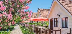 Clover Magic Nova Beach Hotel 11215553437