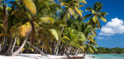 Cruise Caribbean: Curaçao, Aruba & Dominicaanse Republiek 2078506599