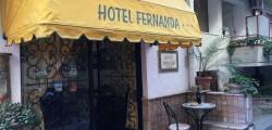 Hotel Fernanda 12586166511