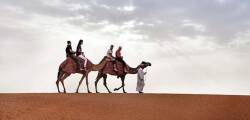 The Retreat Palm Dubai MGallery by Sofitel 12639157351
