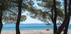 Lime Playa De Alcudia 11758022135