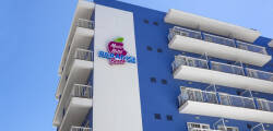 JS Paradise Sport 11752033858