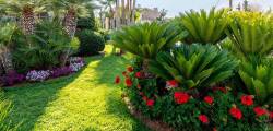 Dedalos Hotel 12677950579