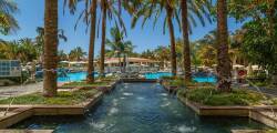 Palm Oasis 11721780474