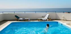 Antonios 7753885662